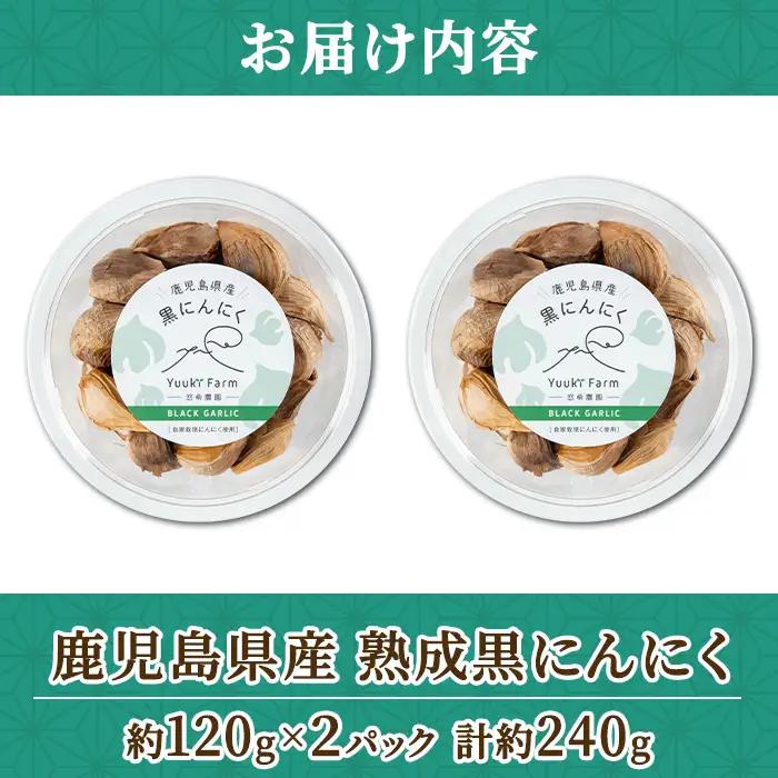 【A93002】農家直送 鹿児島県産 熟成 黒にんにく(計約240g・約120g×2パック) 鹿児島 国産 ニンニク 大蒜 ガーリック 野菜 薬味 発酵 小分け【悠希農園】