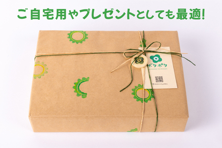 パイナップルの3点食器セット｜食器 やちむん 皿 箸置き 沖縄県 豊見城市（DD026）