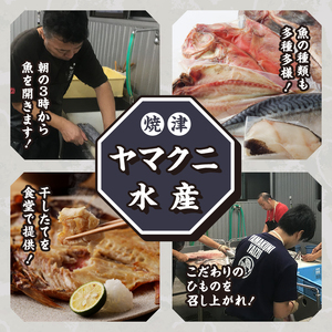 a15-671　【焼津ひもの食堂】焼いてあるひもの4種7枚