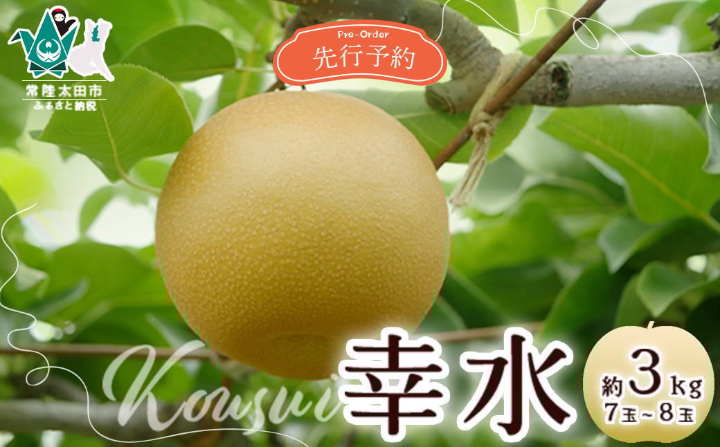 
            【先行予約 2025年】梨 幸水 約3kg 7玉～8玉 | 品評会 最優秀賞 県知事賞 桧山果樹園 幸水 梨 フルーツ 高級 産地直送 限定品 贈り物 新鮮 お取り寄せ デザート ギフト 風味豊か 青梨 大玉 香り 上品 希少価値 珍しい 地域 甘い 限定 果物 果樹 茨城県 常陸太田市
          