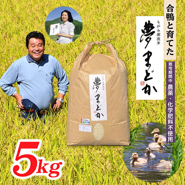 【ふるさと納税】【希少品種】【令和7年産予約】特別栽培米　夢まどか5kg
