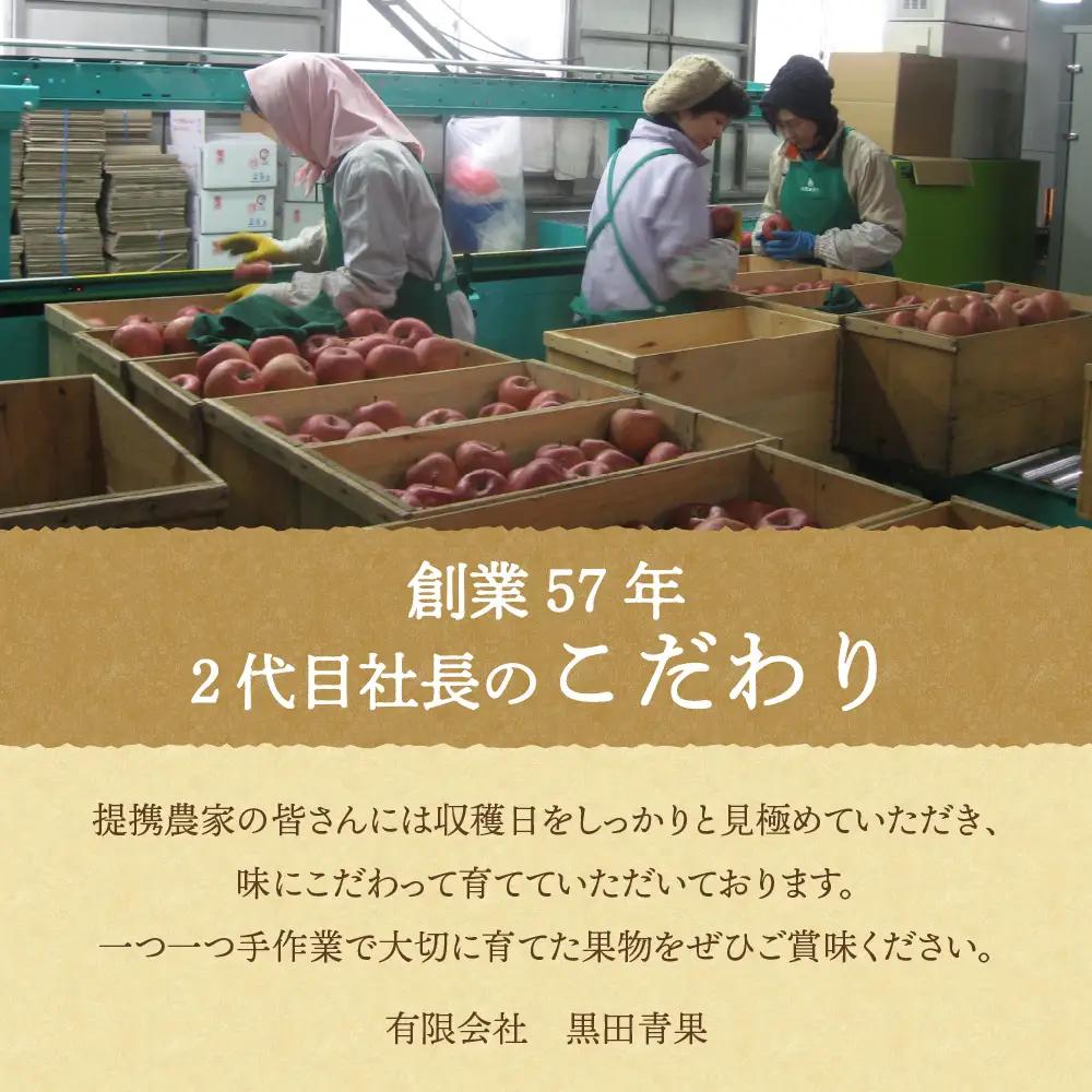 【8月前半発送】 東日流グリーン メロン (贈答用) 1玉 青森県産 メロン