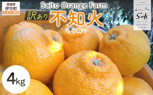【先行予約】Saito Orange Farmの訳あり不知火4kg（2026年2月下旬頃より順次発送） 【 ふるさと納税 人気 おすすめ ランキング みかん ミカン 蜜柑 柑橘 不知火 しらぬい フルーツ 果物 産地直送 西宇和 Saito Orange Farm 訳あり 愛媛県産 愛媛県 伊方町 送料無料 】 IKTAQ011
