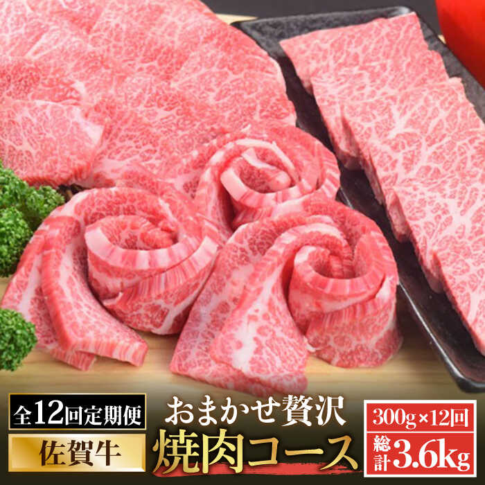 【ふるさと納税】＜12回定期便＞佐賀牛希少部位含む〜ひとり贅沢焼肉コース〜 ランプ/クリ/トウガラシ/ザブトン/カイノミなど【ミートフーズ華松】 ブランド 高級 和牛 霜降り BBQ やわらか 冷凍 料理 精肉 牛肉 希少 赤身 [FAY073]