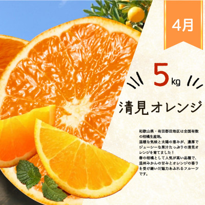 【発送月固定定期便】紀州和歌山産旬のフルーツセット(みかん・不知火・レモン・清見)全4回