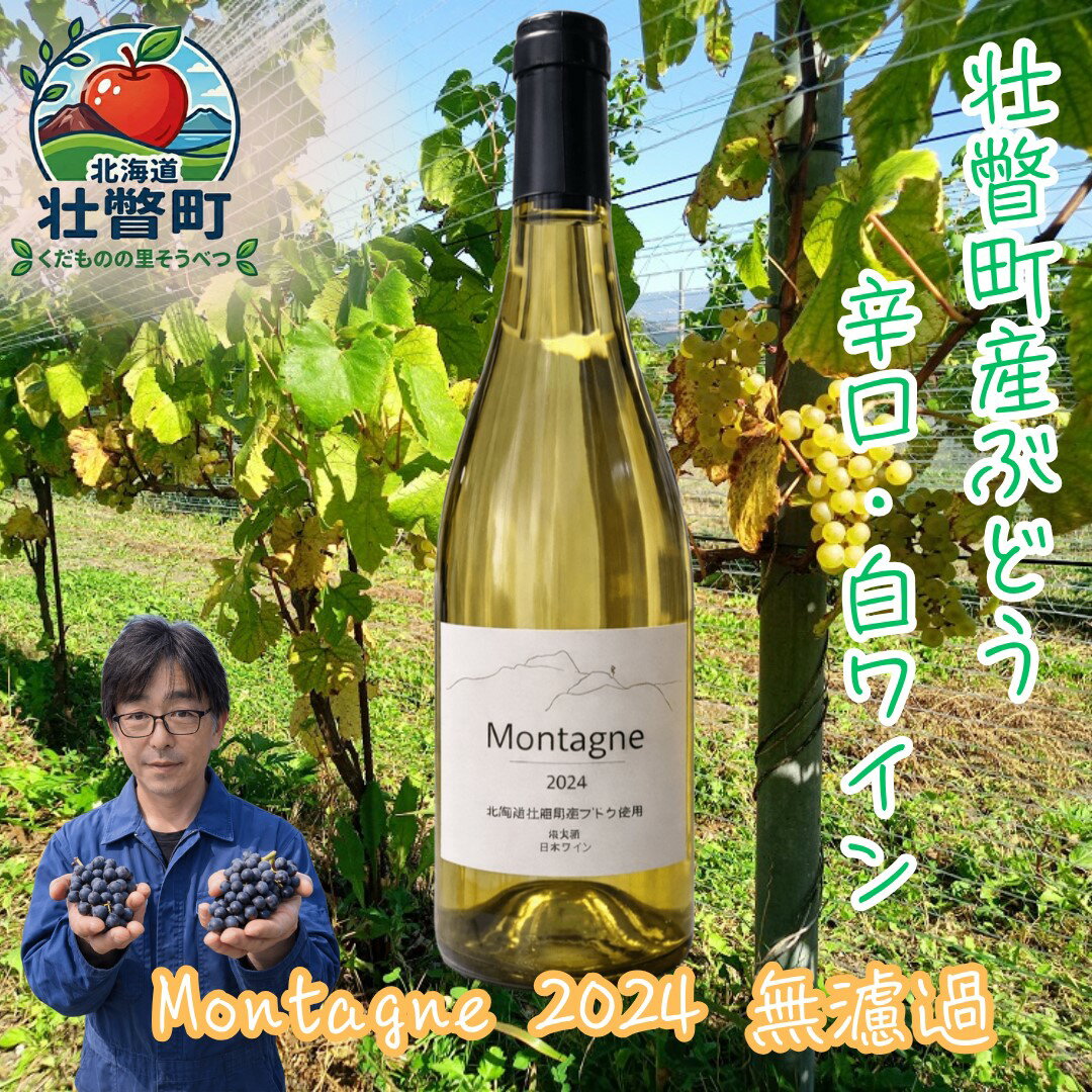 【ふるさと納税】昭和新山ワイン Montagne 2024 無濾過(モンターニュ)白ワイン 辛口 750ml 1本【ふるさと納税 人気 おすすめ 白ワイン 昭和新山 ワイン 白 辛口 お酒 ぶどう ピノノワール シャルドネ ケヴェルツトラミネール 丹波ワイン 北海道 壮瞥町 送料無料】SBTQ013