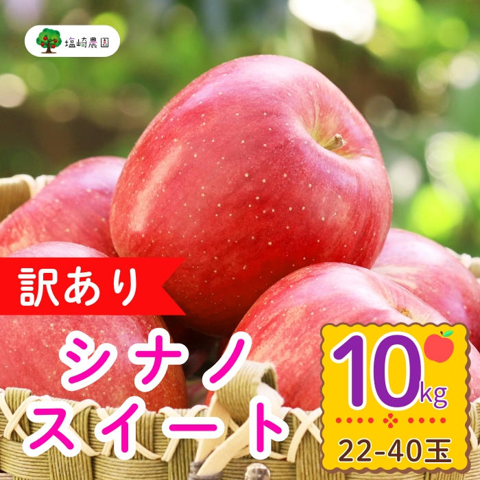 【先行予約】【訳あり】シナノスイート　約10kg（22-40玉）（7-A27-3）