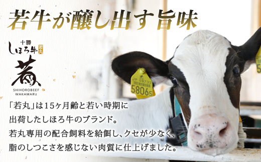 北海道 しほろ牛 若丸 サーロイン ステーキ 計1kg 牛 牛肉 ビーフ 肉 お肉 赤身 赤身肉 ブランド牛 国産 柔らかい 濃厚 おかず 冷凍 お取り寄せ 送料無料 十勝 士幌町 【SW01】