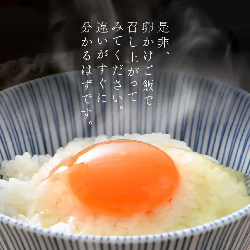 【6ヶ月連続お届け】 福井ブランド 「福地鶏」 の卵 20個 濃厚で甘くておいしい！  定期便 ／ 卵 たまご 鶏卵 生卵 有精卵 高級 高級卵 福地鶏 鶏 平飼い 美味しい こだわり 6ヶ月 定期便