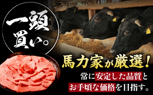 【3回定期便】飛騨牛 肩ロース（焼肉用）800g / 飛騨牛 国産 肩ロース ロース 焼肉 焼き肉 黒毛和牛 和牛 牛肉 BBQ 岐阜県 / 御嵩町 / 馬力家 [AVBO108]