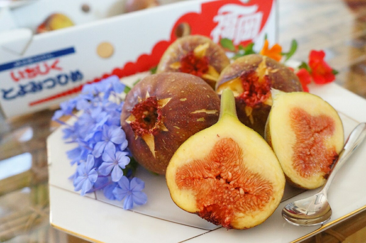 【ふるさと納税】朝採り直送！行橋市天生田産「とよみつひめ」約1kg_AI-065
