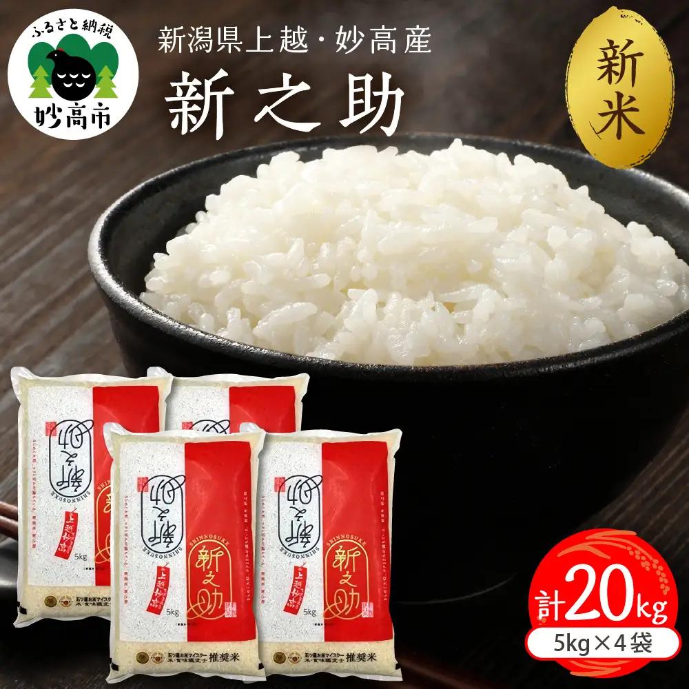 【2026年10月下旬発送】令和8年産 新潟県上越妙高産 新之助 20kg