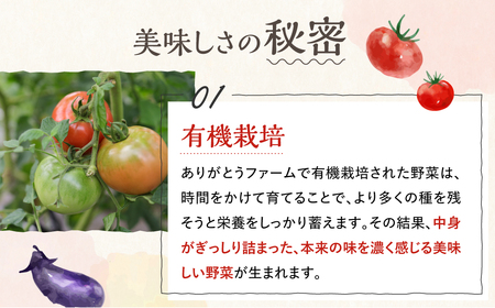 《令和8年産先行予約》有機大玉トマト ミニトマトのセット 有機JAS認定 合計2kg