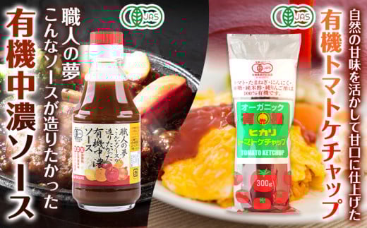 有機 調味料セット B 6種 光食品 株式会社 《30日以内出荷予定(土日祝除く)》無添加 調味料 バラエティーセット 中農ソース とんかつソース ケチャップ ドレッシング ノンオイル 無農薬栽培 徳