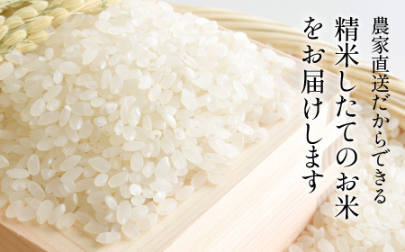 【6回定期便】特A 特別栽培米 コシヒカリ 精米 5kg 定期便