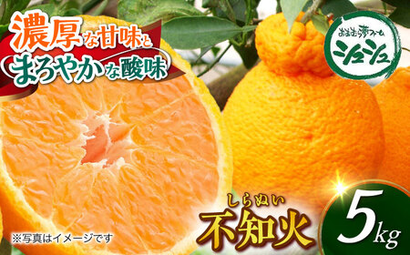 【2026年4月より順次発送予定】不知火 5kg　/ しらぬい みかん 果実 柑橘 / 大村市 / おおむら夢ファームシュシュ [ACAA299]