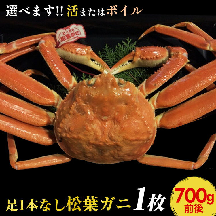 【ふるさと納税】694.【早期受付】【選べます！活またはボイル】足1本なし　訳あり　松葉ガニ　中1枚（700g前後）《かに カニ 蟹 ズワイガニ 》※着日指定不可※2025年11月上旬頃から順次発送予定