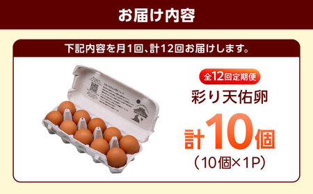 【12回定期便】彩り天佑卵 10個入り [AIDL010] 卵 