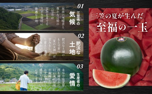 《2026年分受付中》『夏の女神』大玉！種が少なくて甘い黒皮スイカ1玉入（6～8kg）
