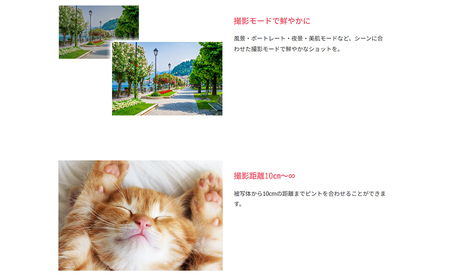 【訳あり/再生品】業務用 800万画素 デジタルカメラ F3DCAF-01-AYASE コンパクト デジカメ 整備済み 軽量 動画撮影