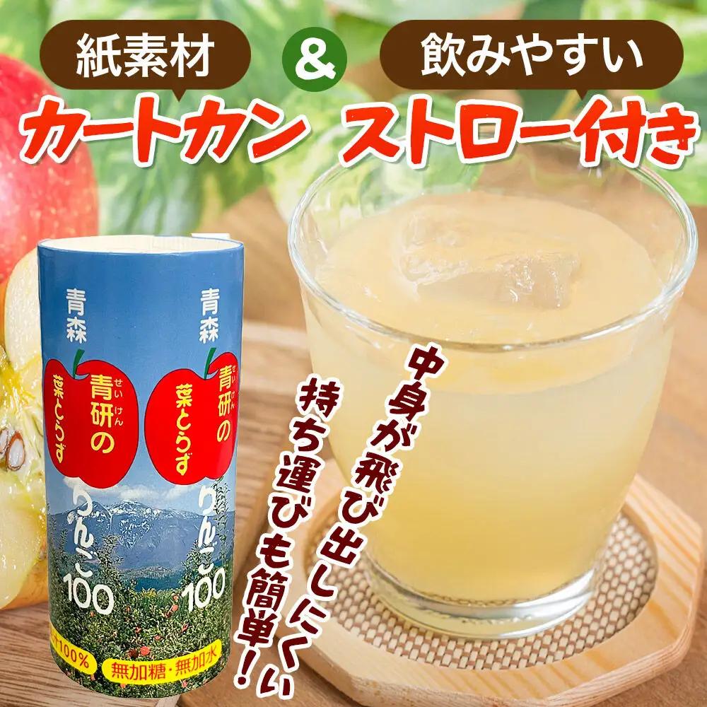 りんごジュース【葉とらずりんご100】195g 30本入 1箱