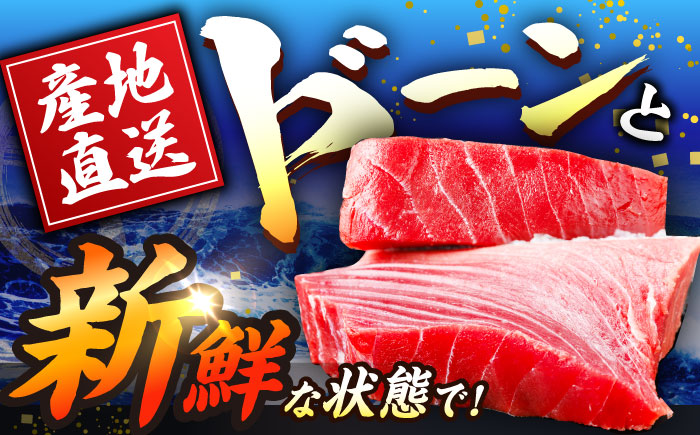 長崎県産 本マグロ「赤身・中トロ」盛り合わせ (約550g) マグロ まぐろ 鮪 さしみ 刺身 刺し身 セット 冷凍 東彼杵町/大村湾漁業協同組合 [BAK005]