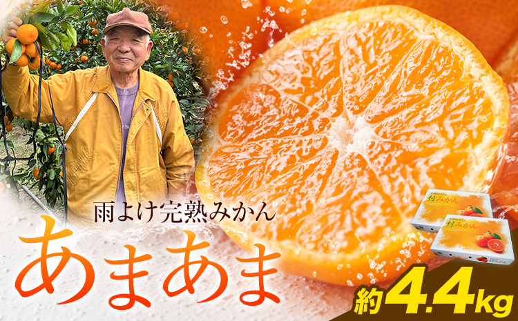 雨よけ完熟みかん「あまあま」 約4.4kg 正木久之《12月下旬-1月中旬》徳島県 佐那河内村 みかん ミカン 蜜柑 柑橘 箱入り 化粧箱 フルーツ 果物 くだもの 贈答【配送不可地域あり】※離島不可