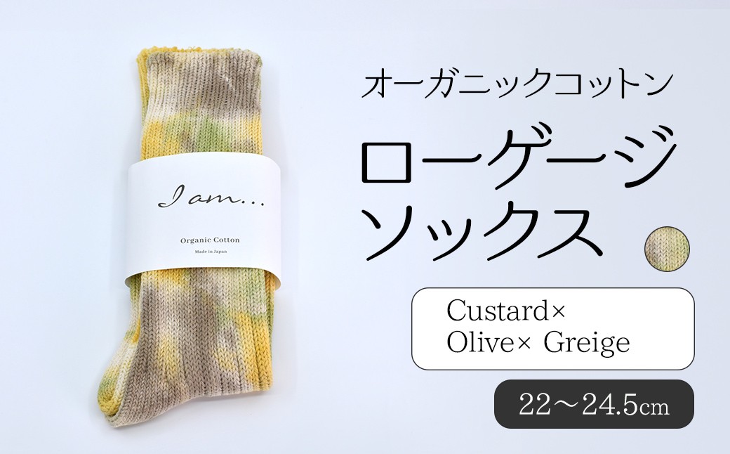 
                  オーガニックコットン　ローゲージソックス　Custard × Olive × Greige SHAO011
                