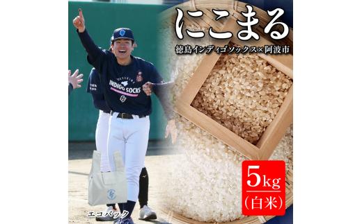  徳島 インディゴソックス グッズ エコバッグ セット お米 にこまる 5kg 白米 野球 四国アイランドリーグ 徳島県 阿波市