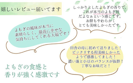 よもぎ大福10個 / 恵那市 / 良平堂 [AUDB037] よもぎ大福