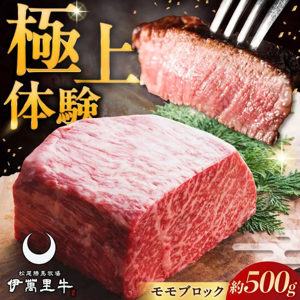 伊萬里牛赤身ブロック 500g / 佐賀県 / まつお食肉卸株式会社 [41AECZ001]