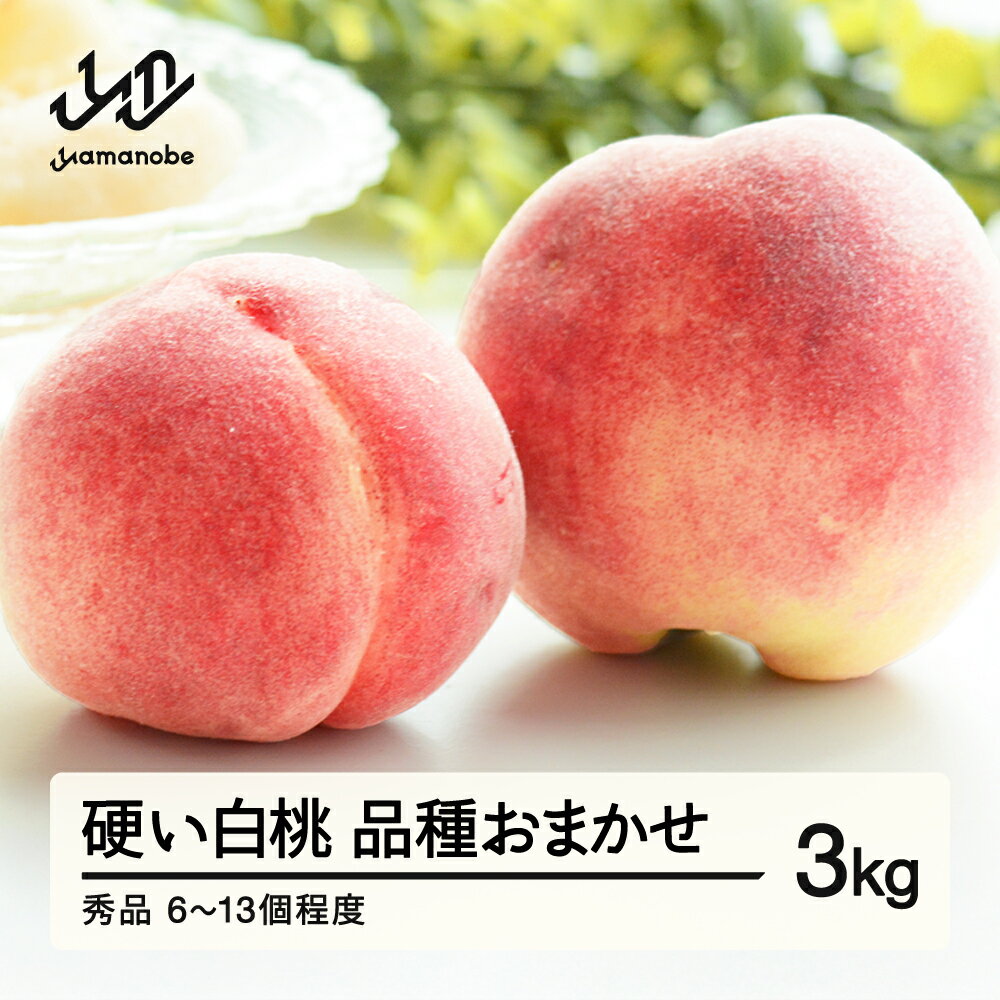 【ふるさと納税】《先行予約》山形県産 硬い白桃 秀品 約3kg (6～13個程度) 2026年8月中旬～9月上旬頃発送予定 山形県産 送料無料 nf-mokhs3