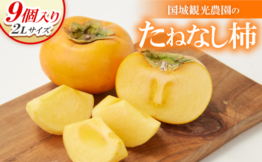国城観光農園のたねなし柿9個入り(2Lサイズ)【配送不可地域：北海道・沖縄県】