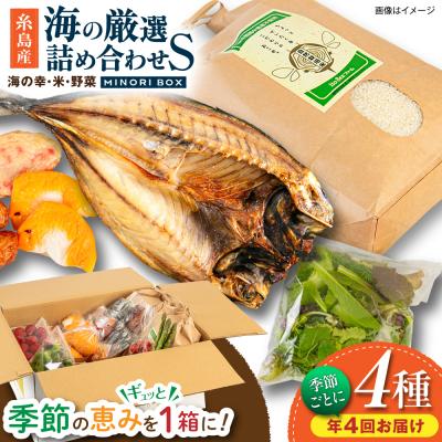 ふるさと納税 糸島市 【全4回定期便】糸島産 魚 米 野菜 果物 厳選詰め合わせ Sサイズ [AOP004]