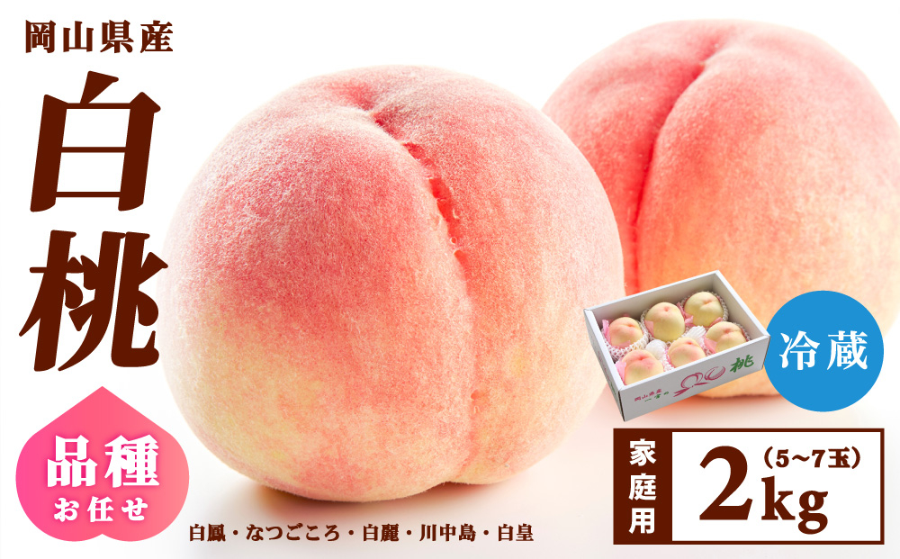 【家庭用】岡山県産 旬の桃 白桃 品種おまかせ 2kg 2kg