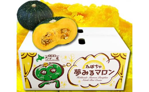 【先行予約】かぼちゃ <令和8年産 >おおとり 夢みるマロン南瓜 | ふるさと納税 人気 おすすめ ランキング 旬 かぼちゃ 南瓜 カボチャ 新鮮 鮮度抜群 野菜 ベジタブル おいしい 健康 北海道 美瑛町 送料無料 [014-114]