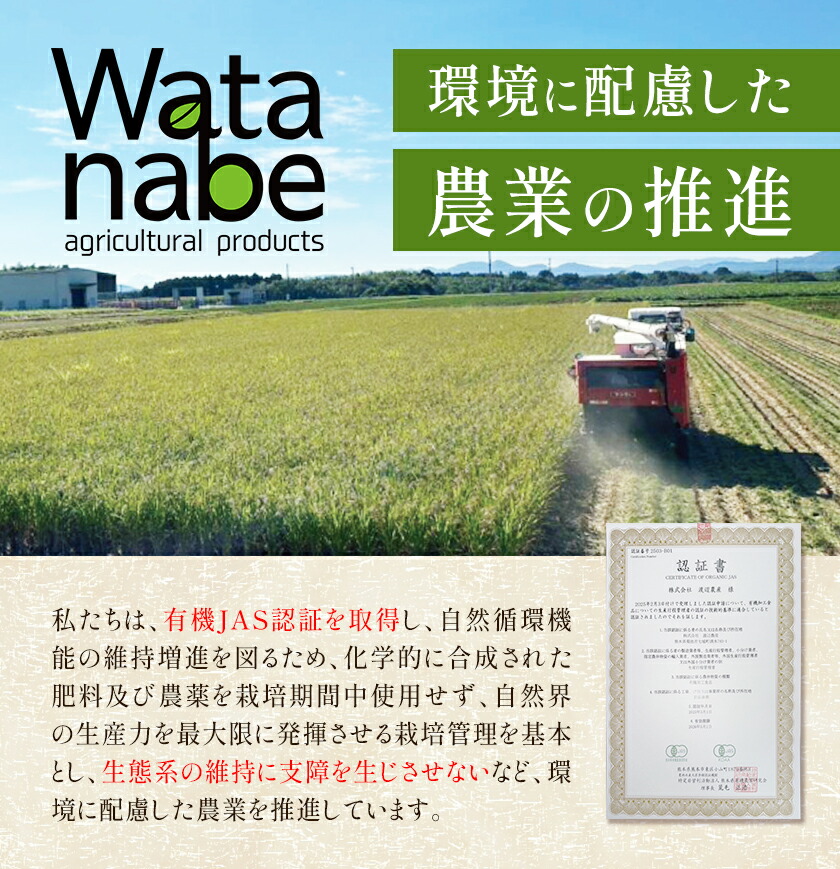 有機JAS 小麦 使用 全粒粉 3kg(1kg×3袋)---171-1918---
