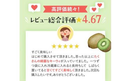 わけあり キウイ 10kg+250g（傷み補償分）扁平果 / 和歌山 家庭用 フルーツ 果物 くだもの ※2026年11月中旬より2027年4月下旬頃順次発送予定 ※北海道・沖縄・離島配送不可 【ik
