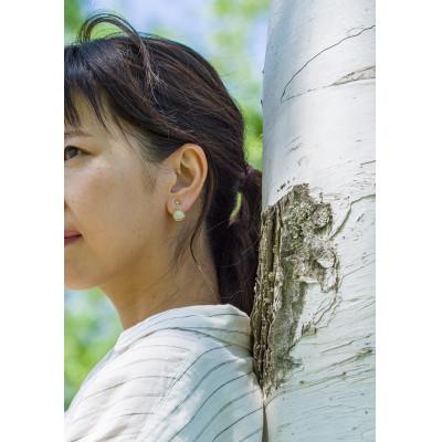 ふるさと納税 帯広市 白樺樹皮ピアス |  | 02