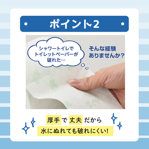 定期便 年2回 6ヶ月毎のお届け エリエール シャワートイレのためにつくった吸水力が2倍のトイレットペーパー  12ロール×3個(36ロール)×2回発送(計72ロール)