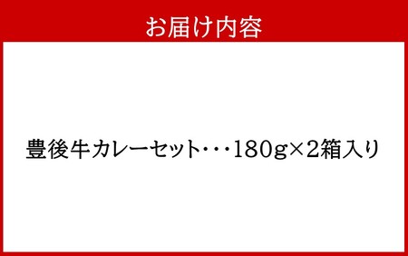 2454R_おおいた豊後牛カレー2箱セット