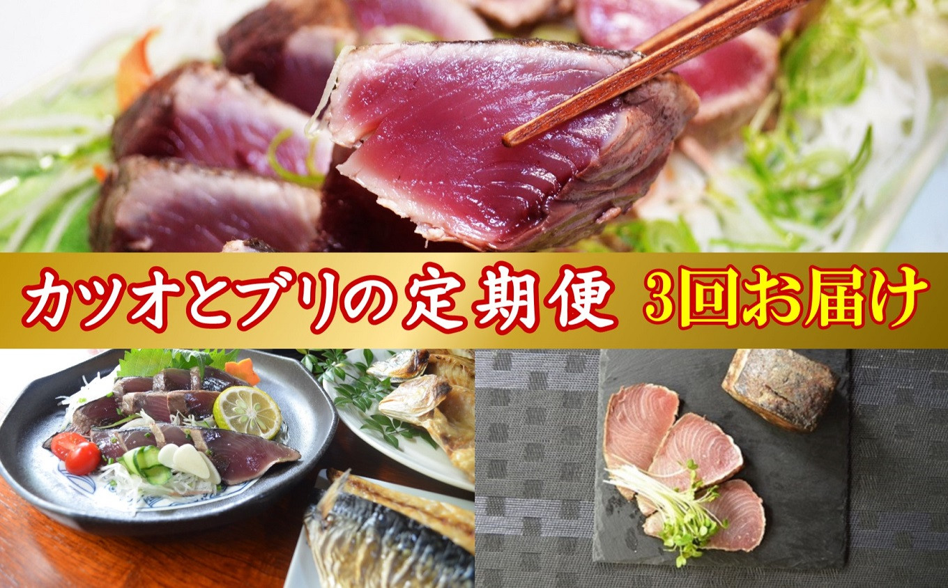 
［1226］土佐の海からの贈り物！カツオとブリの定期便【3回お届け】
