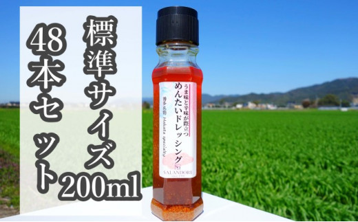 
★48本セット★【うま味と辛味が際立つめんたいドレッシング】（標準サイズ200ml）
