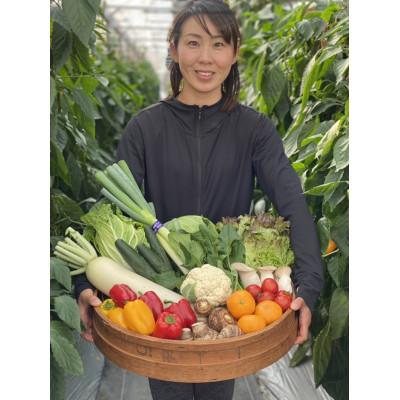 ふるさと納税 牧之原市 【11〜12品】畑から採りたて発送!静岡厳選野菜セット |  | 01