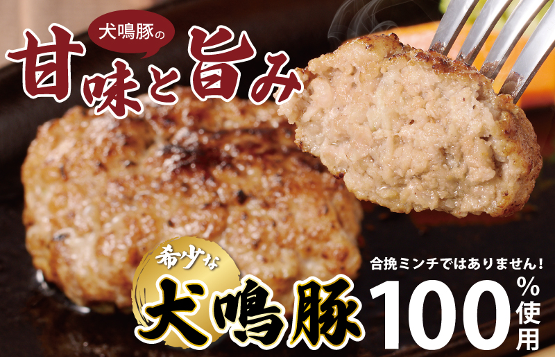 【泉佐野ブランド豚】犬鳴豚の手作りプレミアムハンバーグ（10個入り）×6回【国産 豚肉 ぶたにく 定期便 犬鳴ポーク 普段使い】