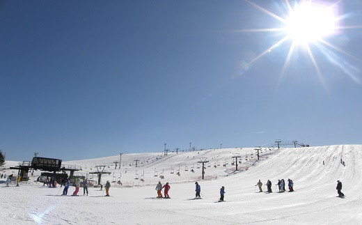 【 ファミリーゲレンデ霧ヶ峰スキー場 】 冬山 霧ヶ峰 ペアプラン ( 霧ヶ峰スキー場 大人 一日券 2名様分 ) ／ 諏訪市観光課 スキー リフト券 初級 中級 ファミリー キッズパーク スノーキッズ霧ヶ峰 信州 長野県 諏訪 諏訪市 【58-02】