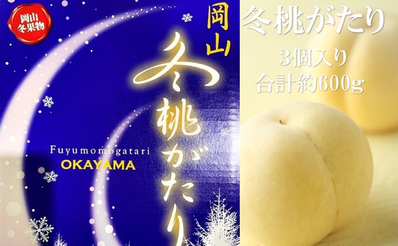 桃 2026年 先行予約  岡山県産 白桃 冬桃がたり 3個入り 約600g もも モモ 岡山県産 国産 フルーツ 果物 ギフト 