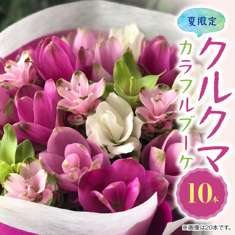 【ふるさと納税】花もち抜群！夏 限定 かわいい カラフル ブーケ クルクマの花束 10本 生花 花束 海外花 クルクマ 癒し 花 お取り寄せ ギフト プレゼント用 インテリア おしゃれ 愛知県 碧南市 送料無料