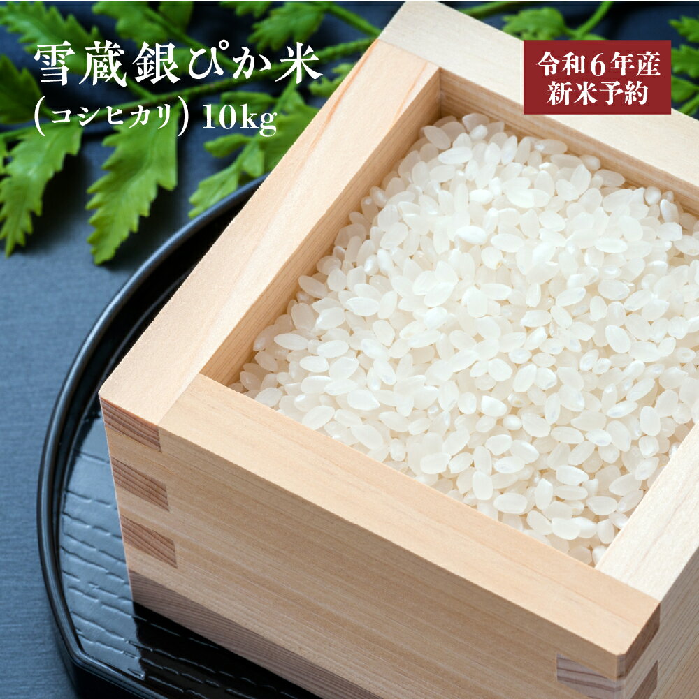 【ふるさと納税】【令和6年産】雪蔵銀ぴか米（コシヒカリ）10kg　【07208-0347-C】