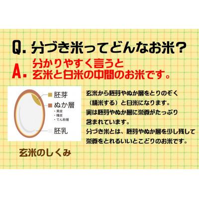 ふるさと納税 花巻市 【令和7年産】分づきが選べる　花巻産ひとめぼれ3kg　3分づき |  | 01